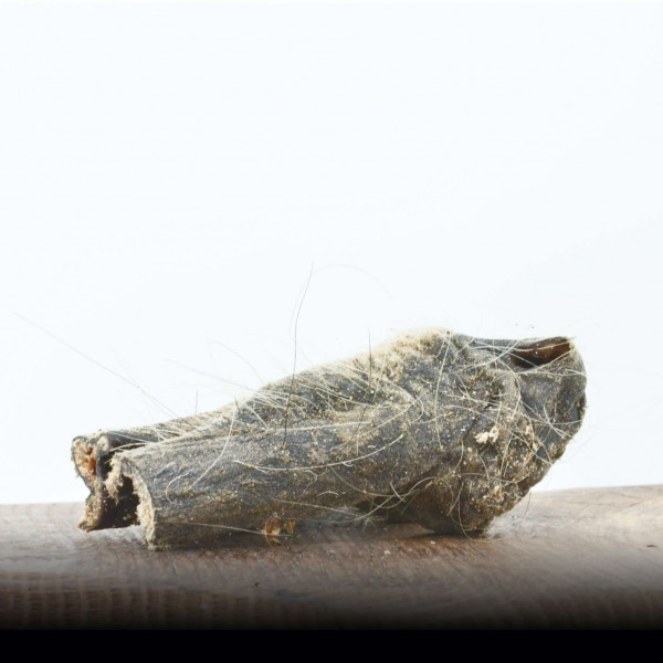 Pferdemaul